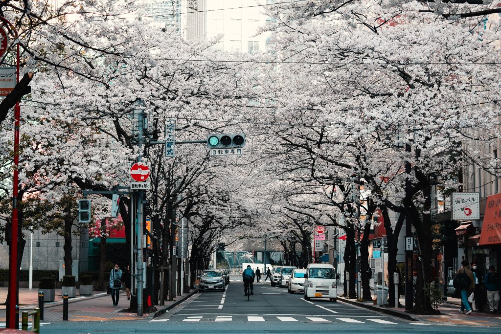 Tokyo holiday destination