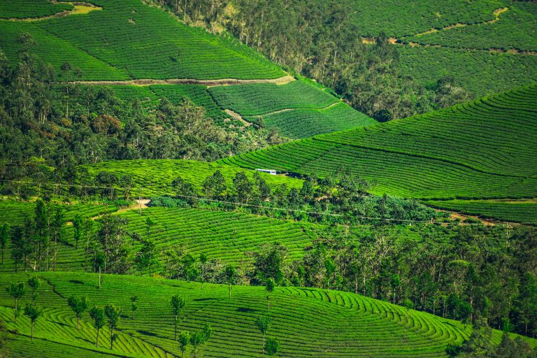 Munnar