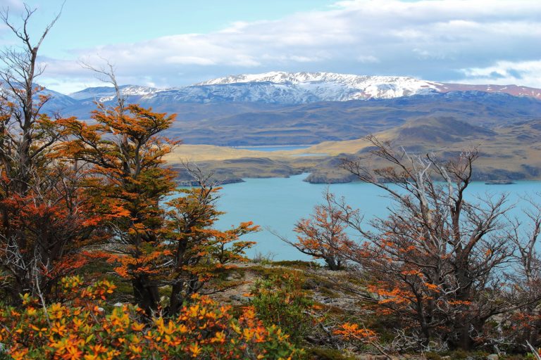 Puerto Natales