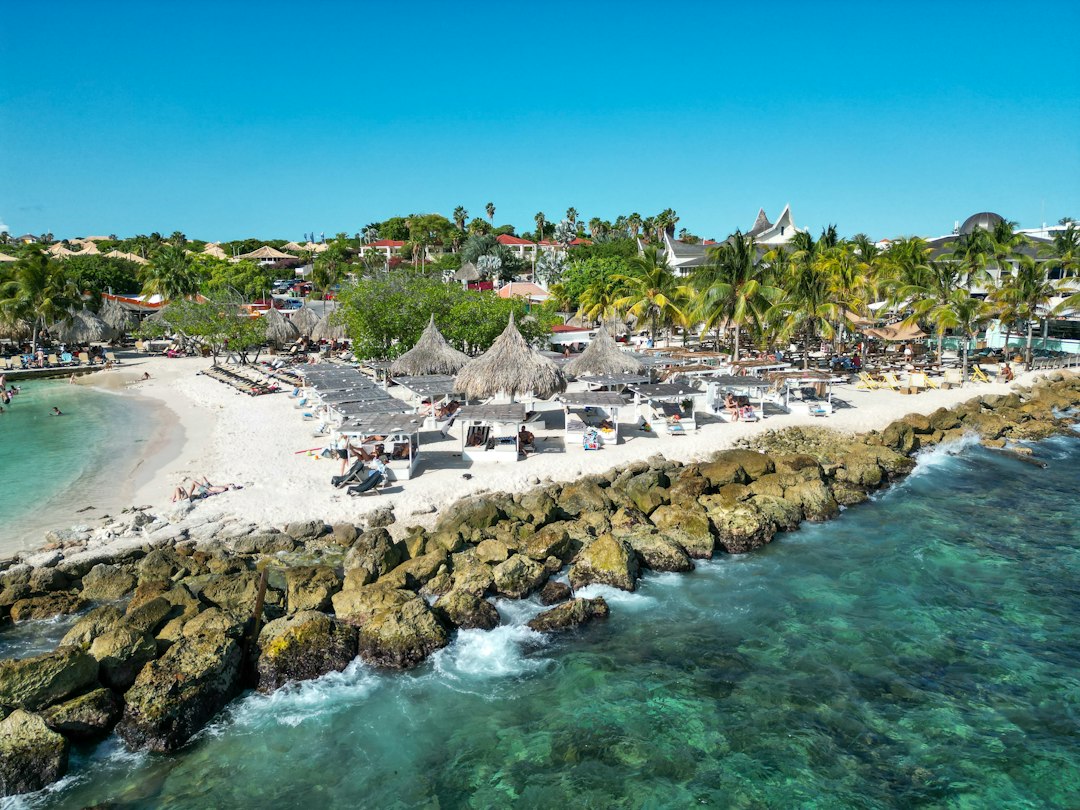 Aerial view of a Caribbean beach with palm trees and white sand