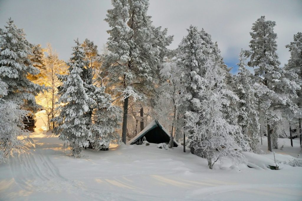 Snowy Lapland landscape for a Christmas family holiday