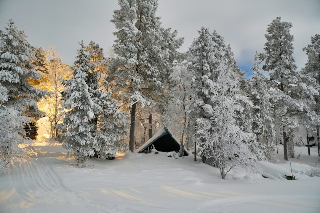 Snowy Lapland landscape for a Christmas family holiday
